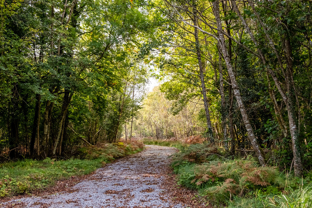 Hiking Woodford, Co. Galway Flickr