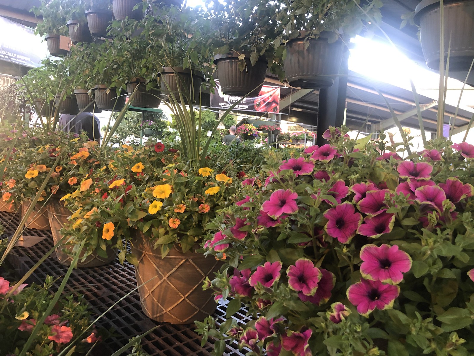 Flowers After Hours at Capitol Market Candace Lately