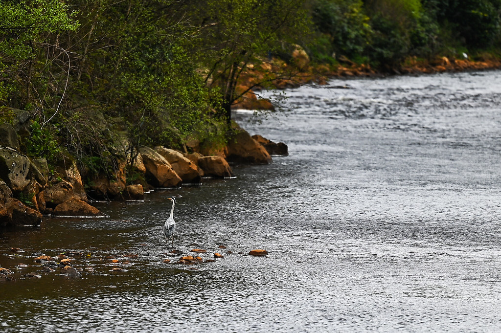 Avoca club trip Ken McFarland Flickr