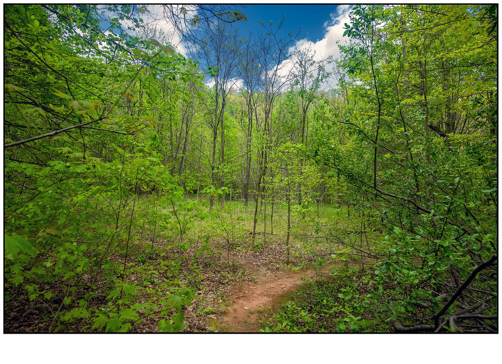 Ashmore Heritage Preserve Bester Photo Flickr