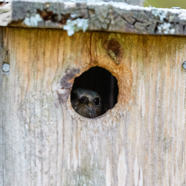 Abbotts Pond, April 24, 2022 Flickr