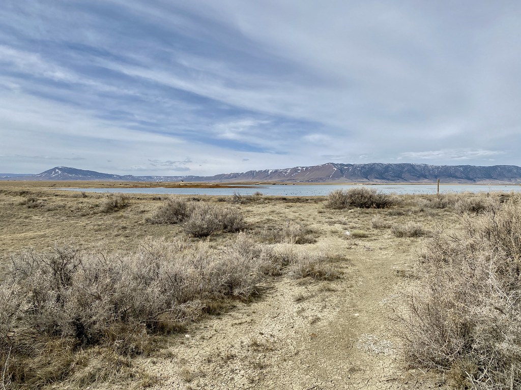 Twin Buttes Lake Habitat shot for eBird list Van Remsen Flickr
