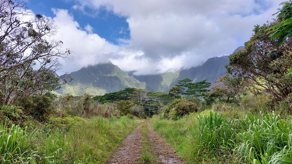 Jurassic Bap Hawaii Movie Locations LihueKoloa Forest Re… Flickr