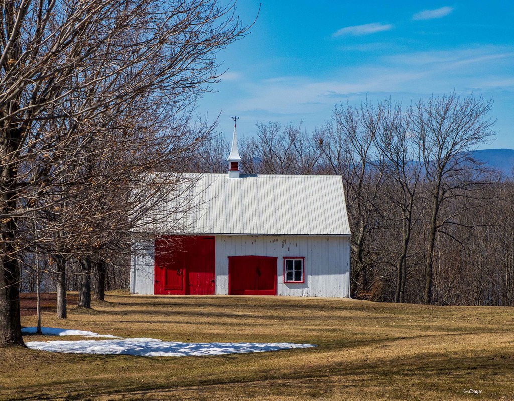 joyeux printesmps StMicheldeBellechasse Louyse Ledoux (Louyse