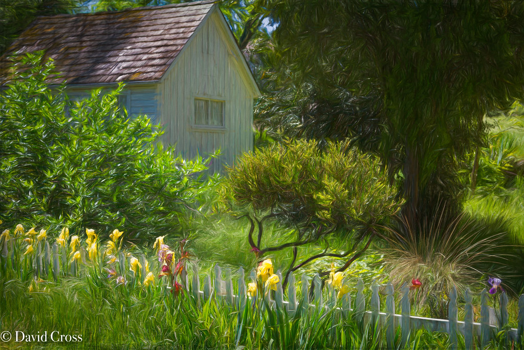 Elevation of Mosquito Rd, Placerville, CA, USA Topographic Map