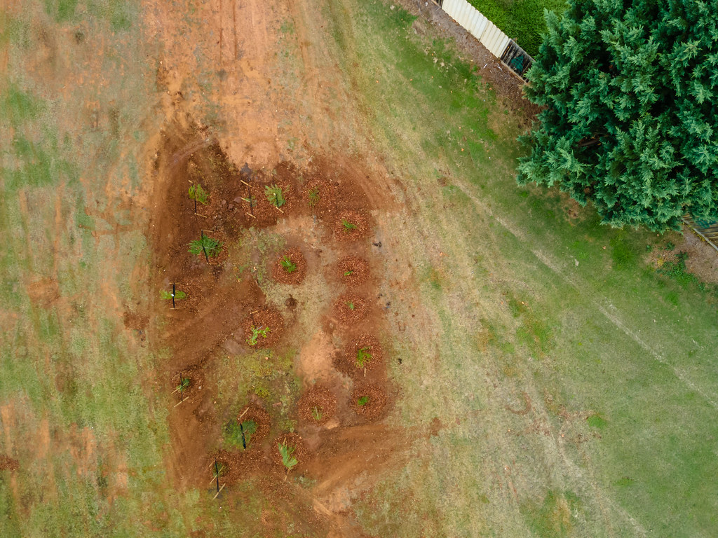 Kurunjang Melton Tree Planting Areas Drone22 Marcia Riederer Flickr