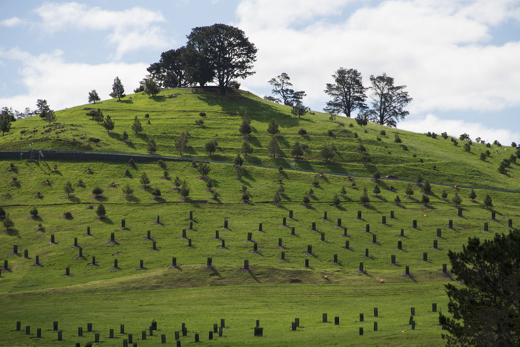 Dairy Farmers Hill Dairy Farmers Hill is now part of Canbe… Flickr
