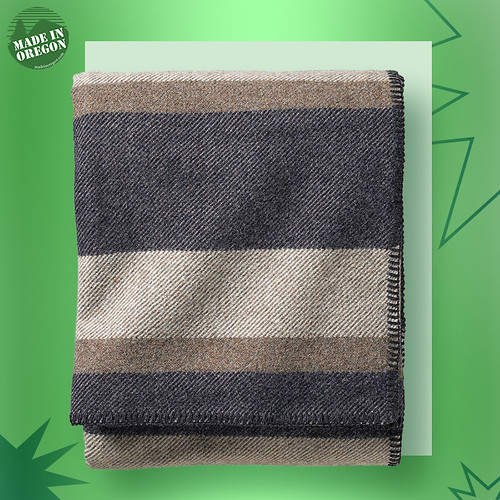 Pendleton EcoWise Midnight Navy Stripe Washable Wool Blan… Flickr