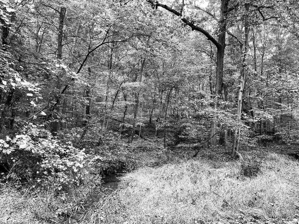 Back Creek Valley West Virginia (230) Beadmanhere Flickr