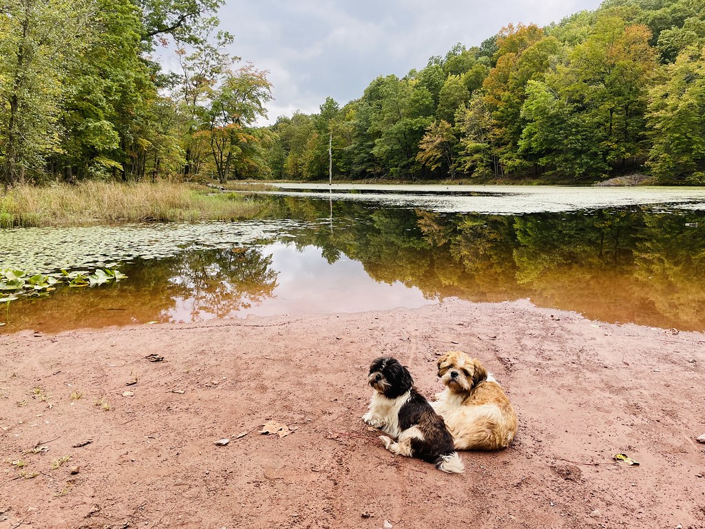 Back Creek Valley West Virginia (225) Beadmanhere Flickr
