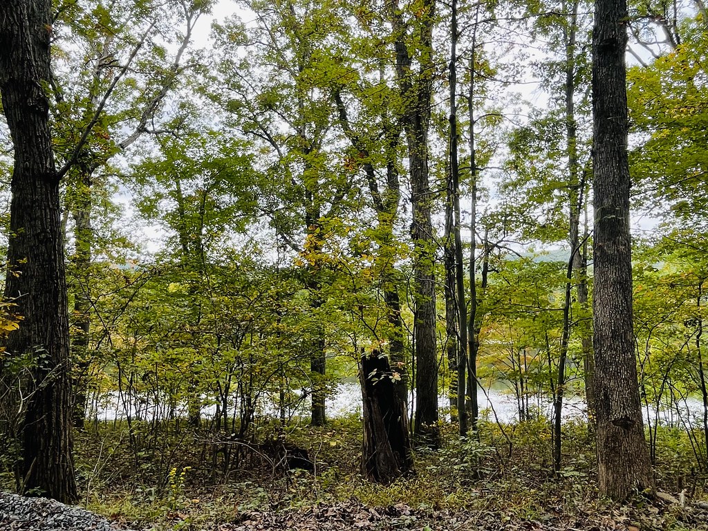 Back Creek Valley West Virginia (146) Beadmanhere Flickr