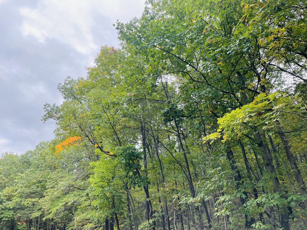 Back Creek Valley West Virginia (128) Beadmanhere Flickr