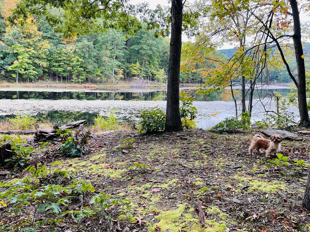 Back Creek Valley West Virginia (162) Beadmanhere Flickr