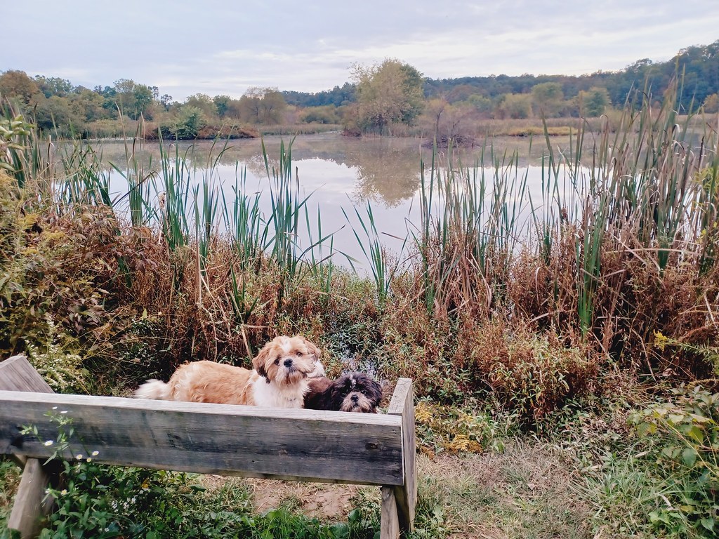 Back Creek Valley West Virginia (22) Beadmanhere Flickr