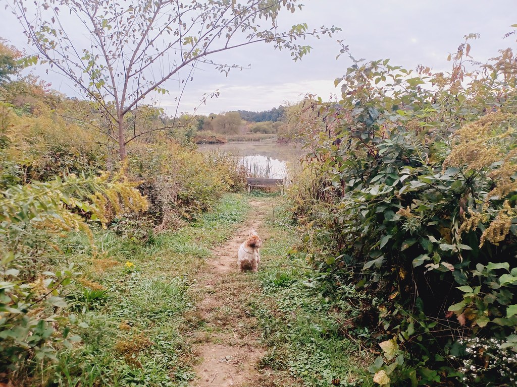 Back Creek Valley West Virginia (12) Beadmanhere Flickr