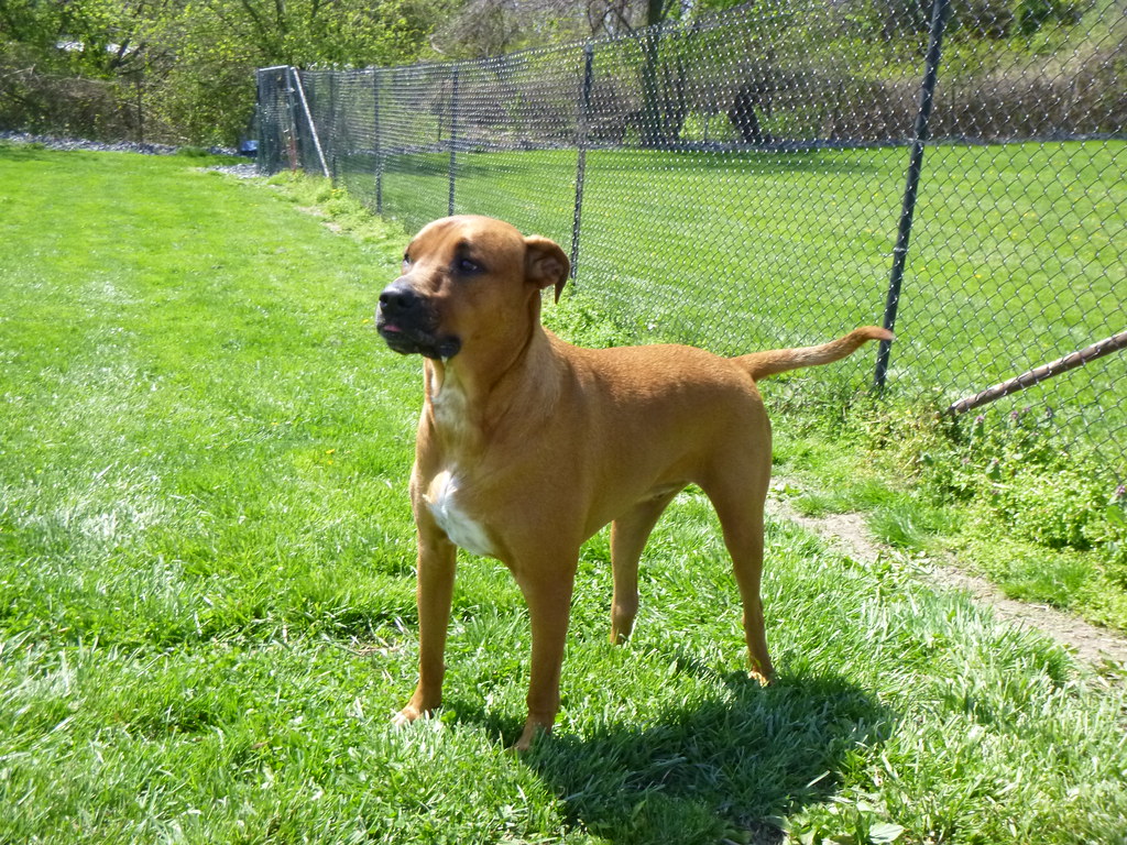 P1400672 Greenlin East Flickr