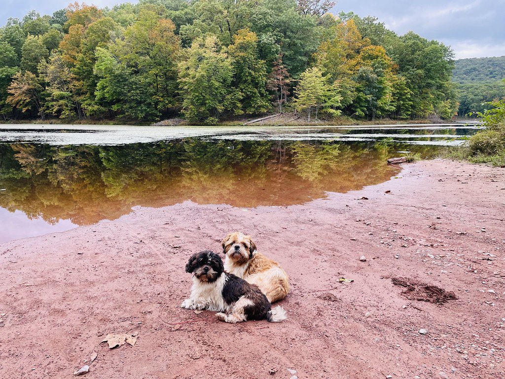 Back Creek Valley West Virginia (223) Beadmanhere Flickr