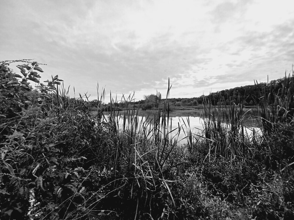 Back Creek Valley West Virginia (27) Beadmanhere Flickr