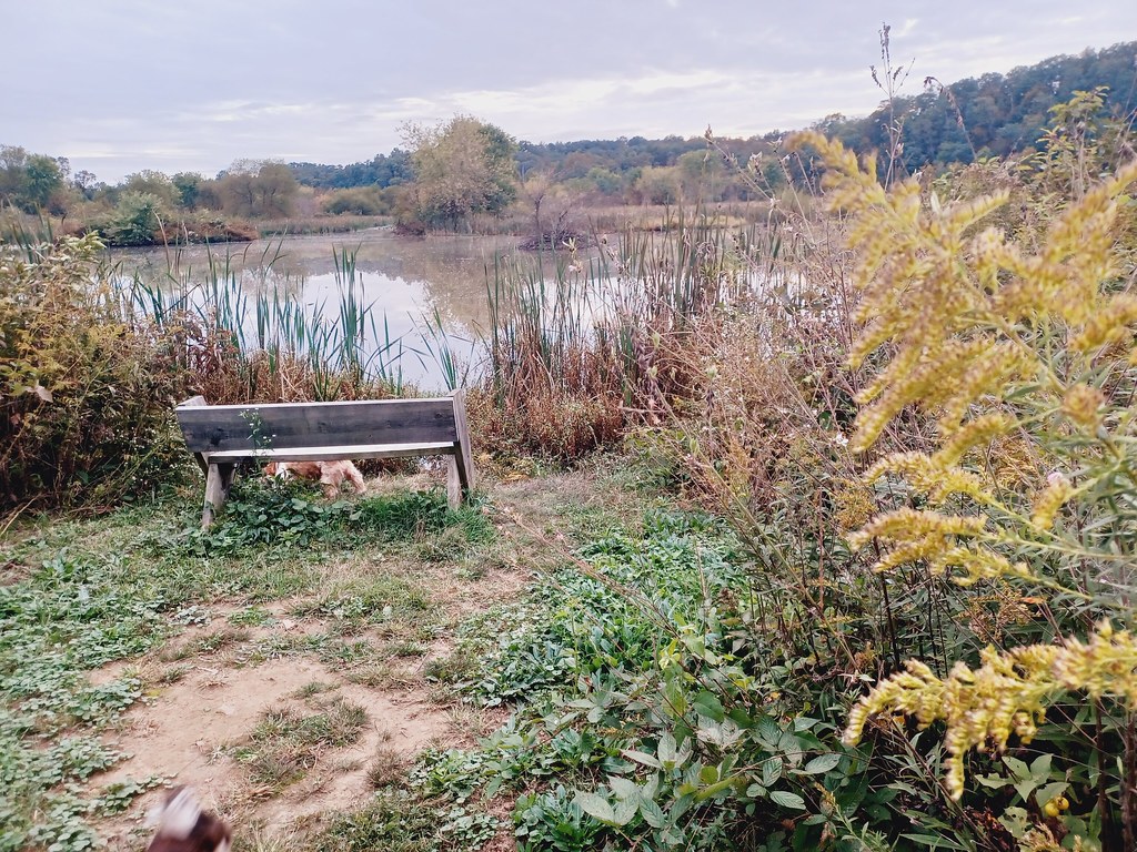 Back Creek Valley West Virginia (15) Beadmanhere Flickr