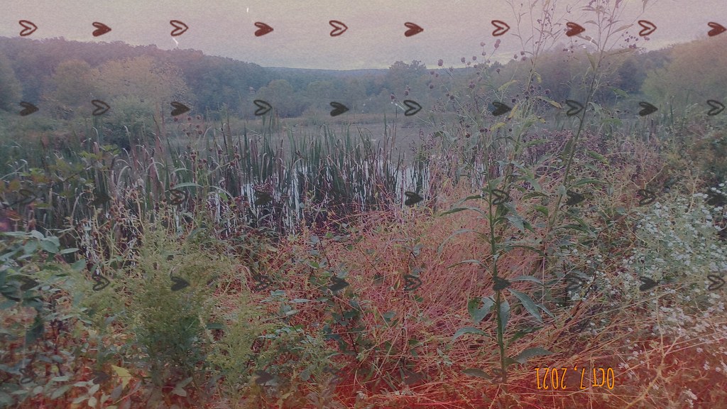 Back Creek Valley West Virginia (48) Beadmanhere Flickr