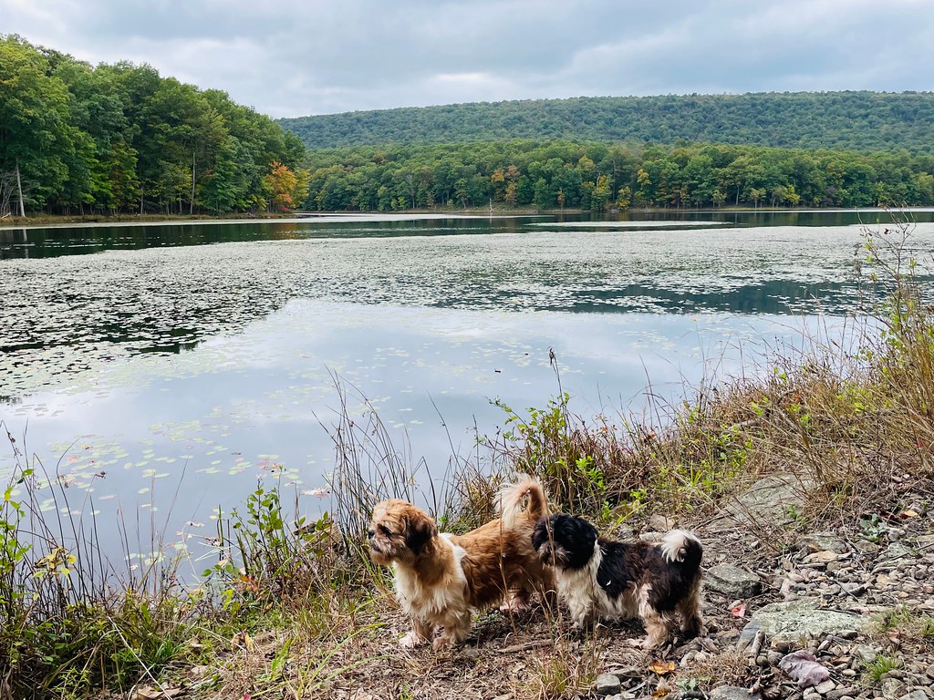Back Creek Valley West Virginia (182) Beadmanhere Flickr