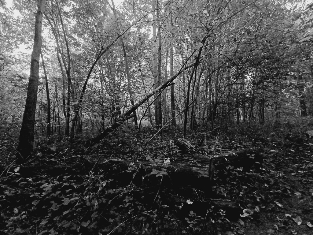 Back Creek Valley West Virginia (66) Beadmanhere Flickr