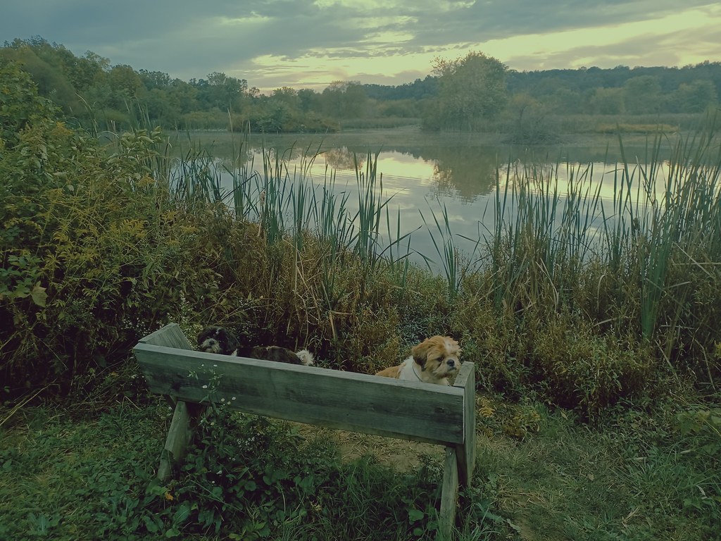 Back Creek Valley West Virginia (110) Beadmanhere Flickr