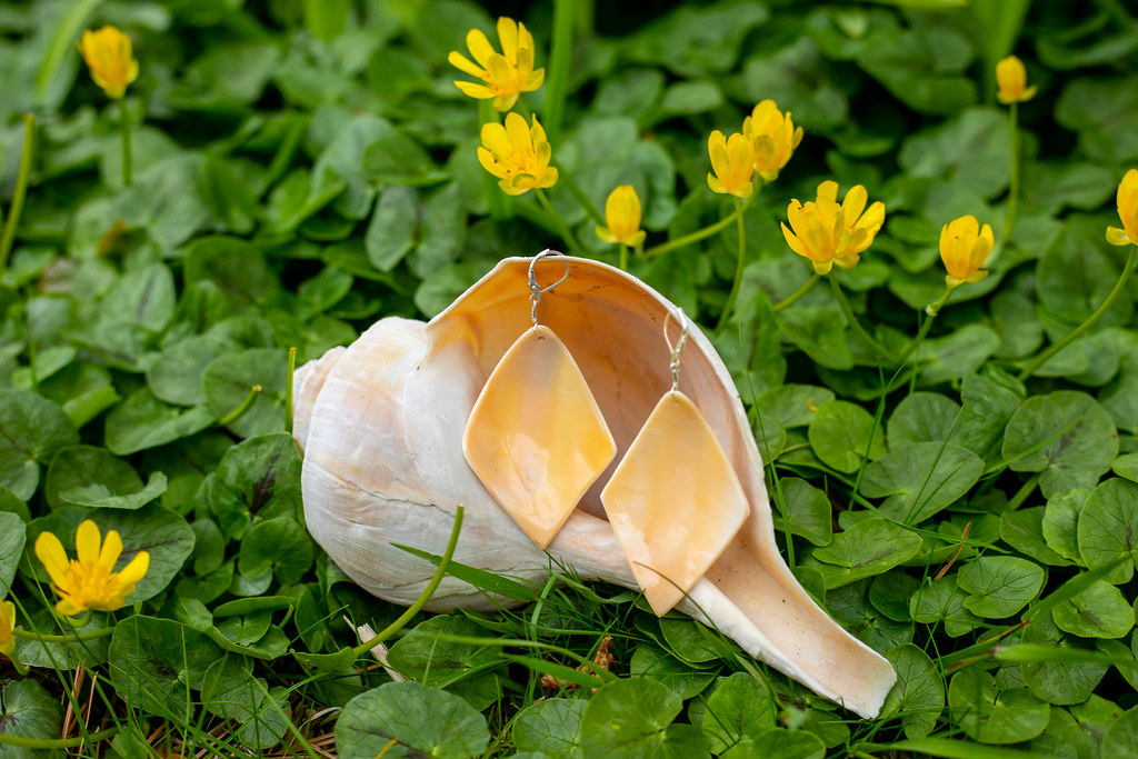 _S5A9950 Helen Harding Flickr