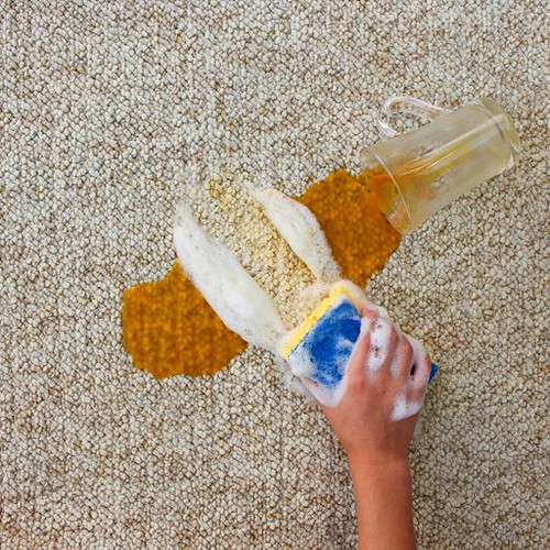 Specialised Carpet Cleaning in South Melbourne by Experts Flickr