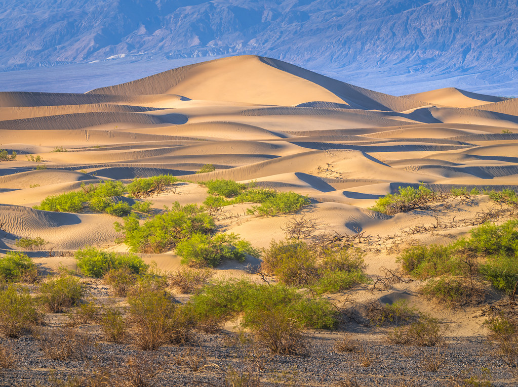 Mesquite Dunes Death Valley National Park Sand Dunes Fine Art Landscape