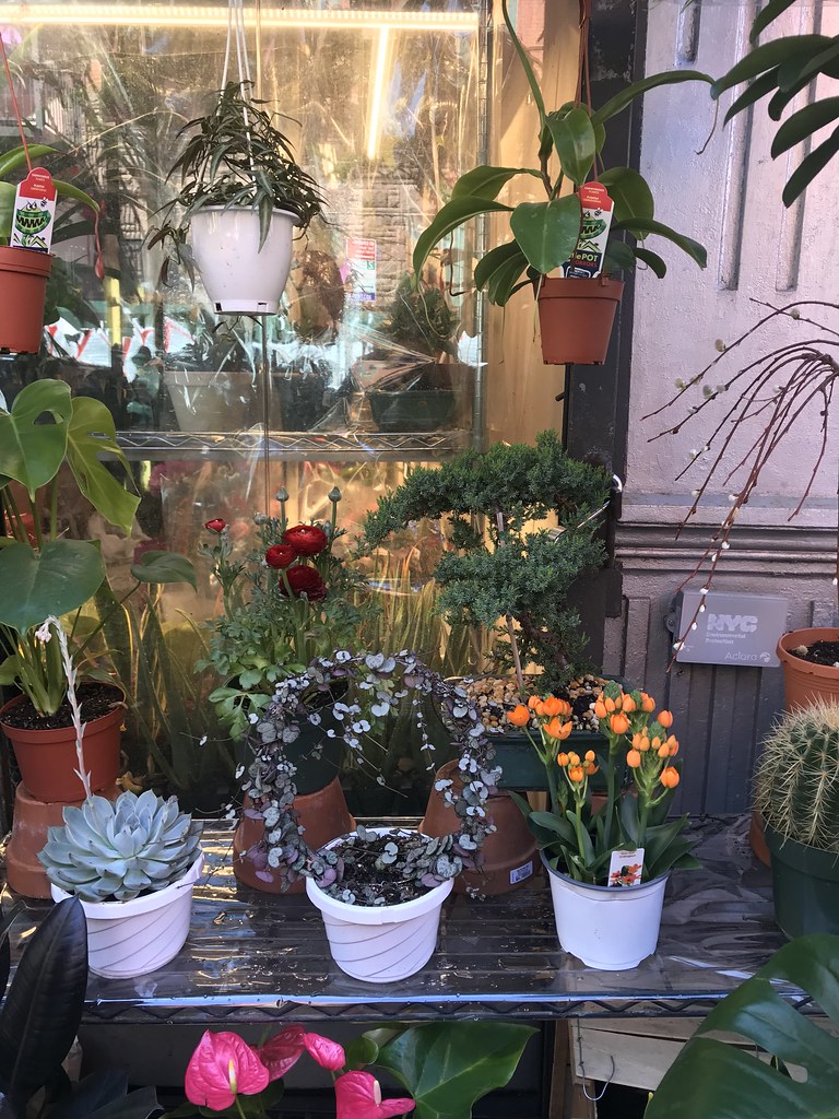 IMG_3646 Manhattan Florist, 87 Bayard St., Chinatown Flickr