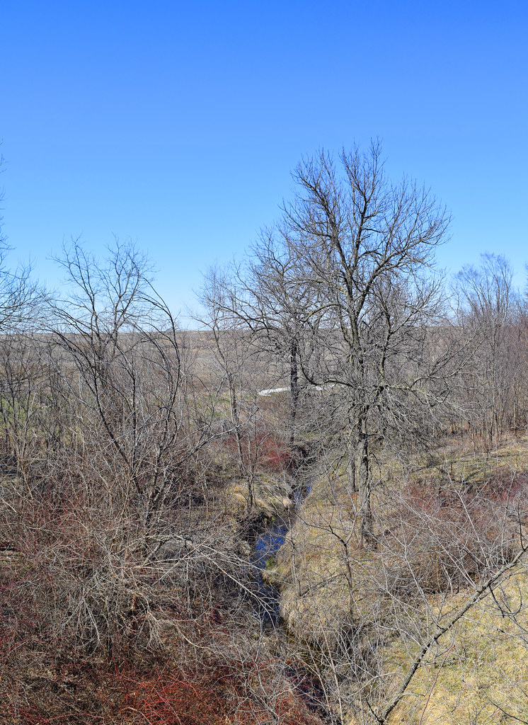 Creek Raccoon River Valley Trail, Panora, Iowa Trent Schipper Flickr