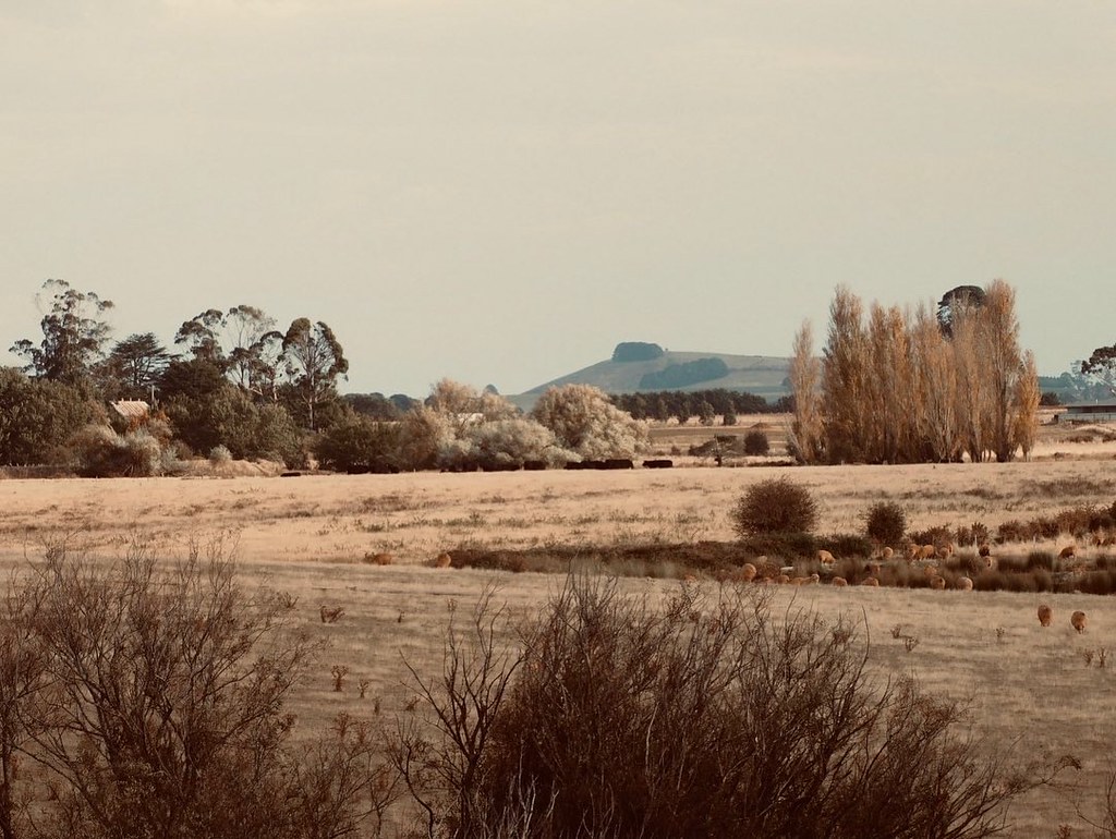 Newlyn, Victoria Kate Clarke Flickr