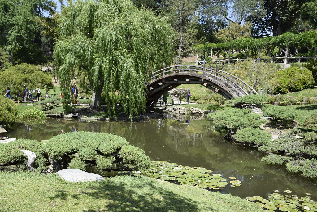 _DSC2480 Huntington Botanical Gardens in Glendale Californ… Flickr