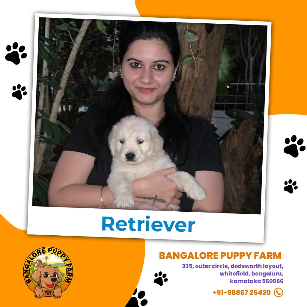 Best dog breeders in bangalore Banglore Puppy farm Flickr