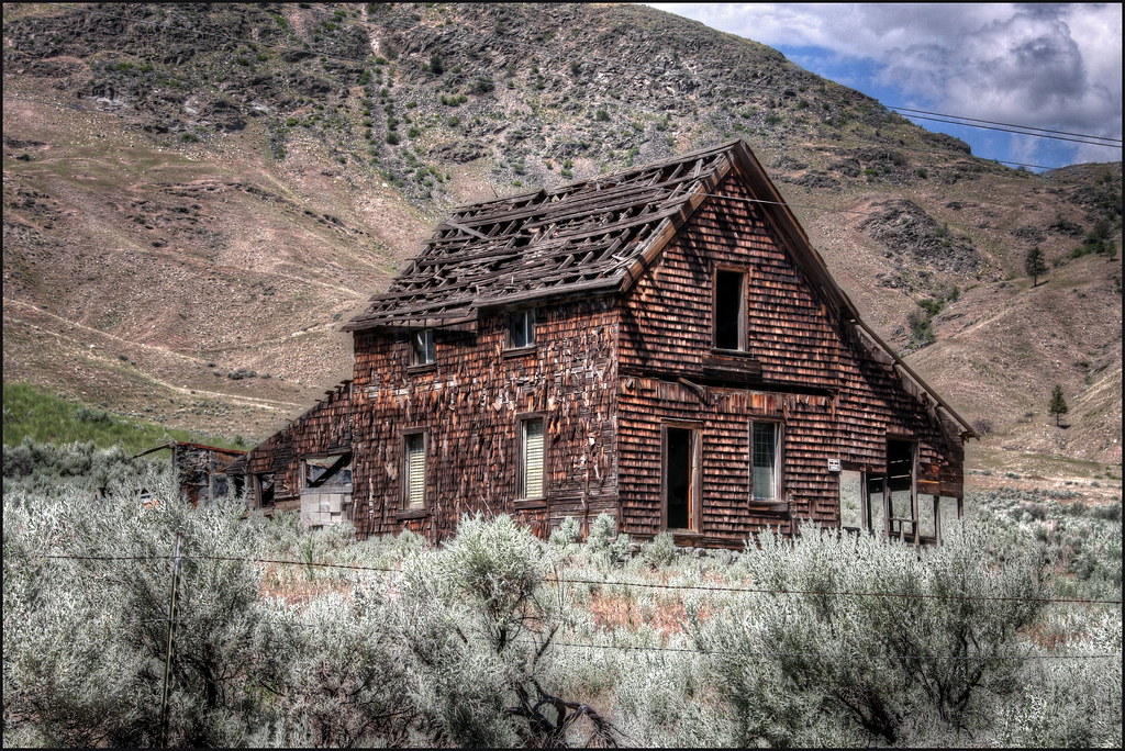 Nighthawk Washington Steve Biber Flickr