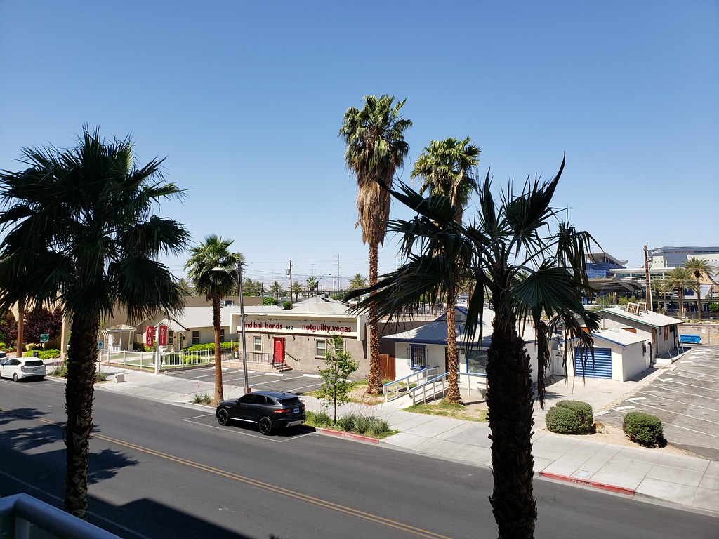 20220501_111913 Z Networks Flickr