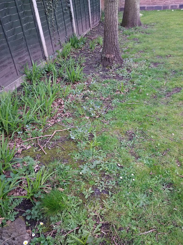 IMG_20220414_171504799 Brewood Hall Garden 2022 Flickr