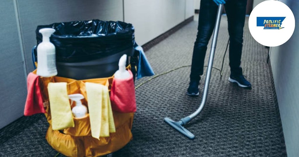 Best Professional Carpet Cleaning Company in USA The best … Flickr