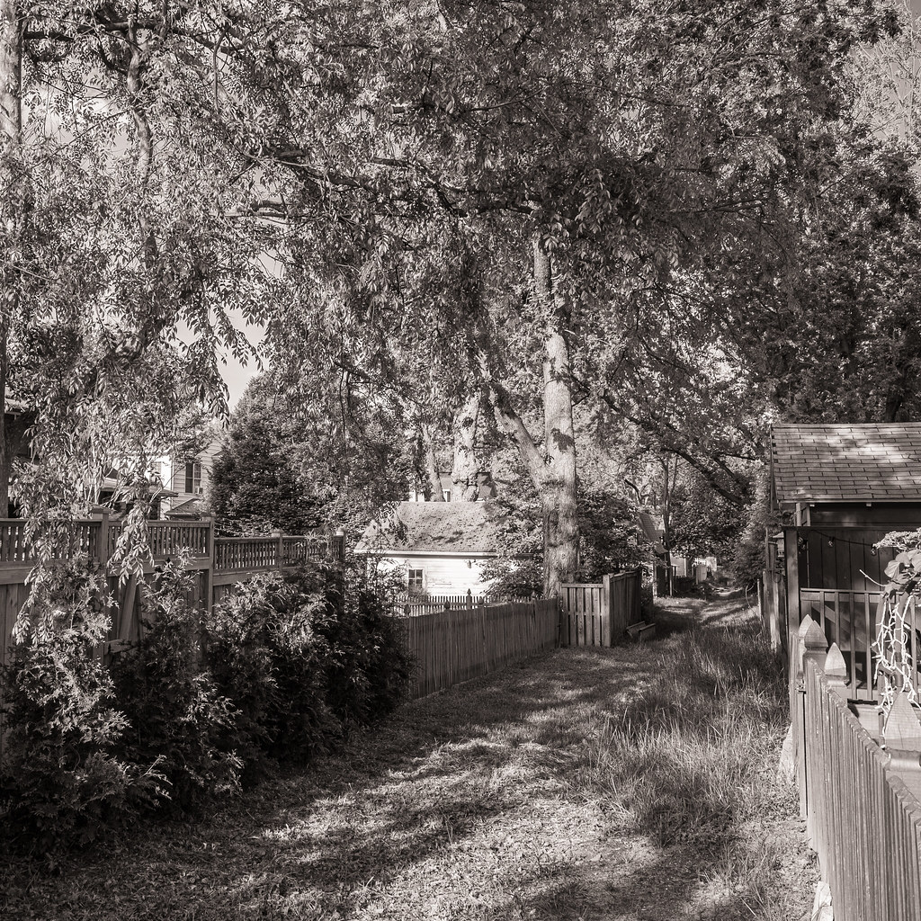 _WJW56396 Alley, Del Ray Neighborhood, Alexandria VA Flickr