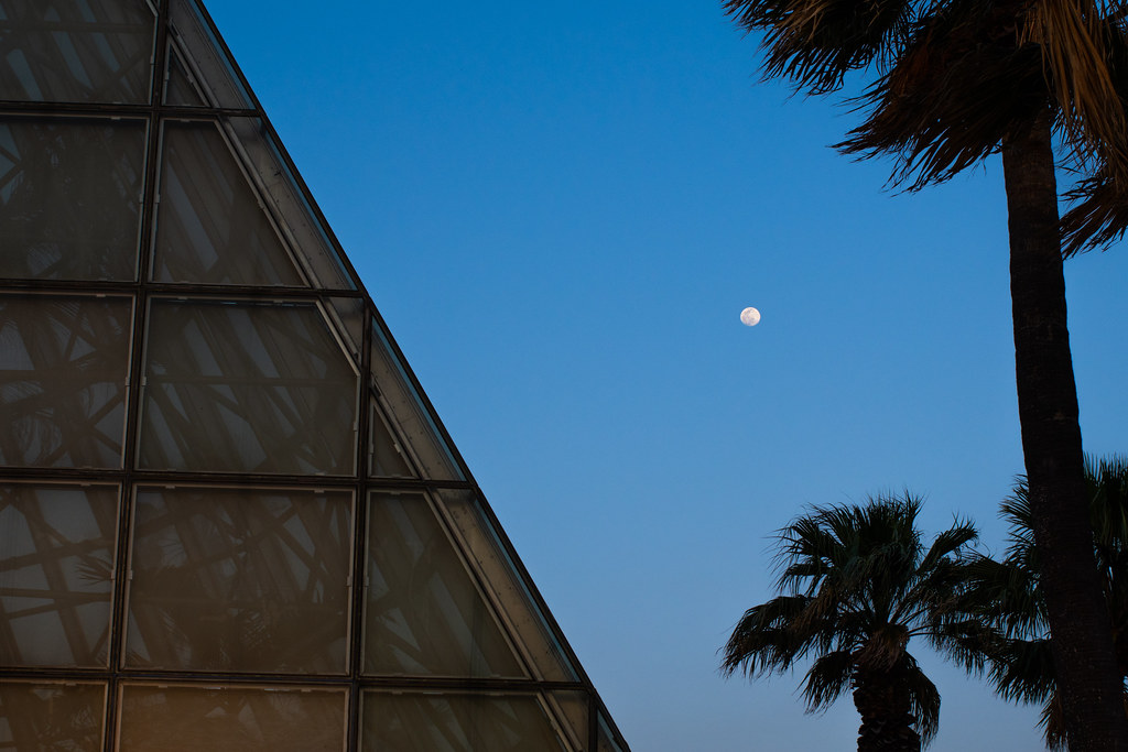 Framed Moon Moon Framed at the San Antonio Botanical Garde… Corey