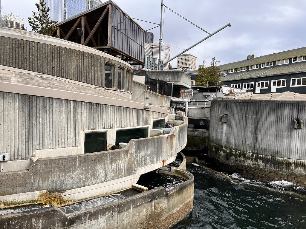 Seattle Aquarium 42022 BA (16) salmon fish ladder where e… Flickr