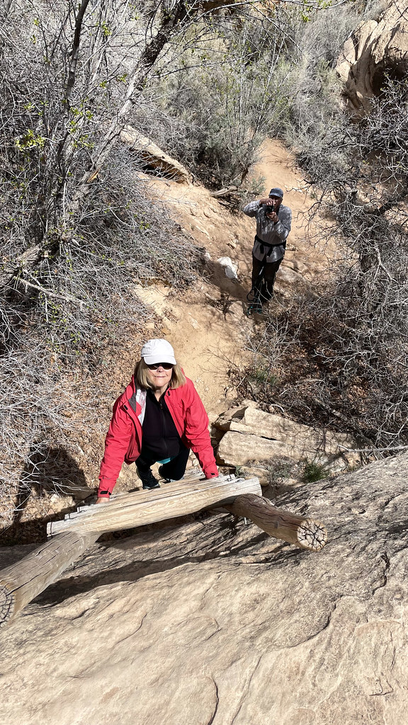 barb climbing ladder on cave spring hike Joe Buoy Flickr