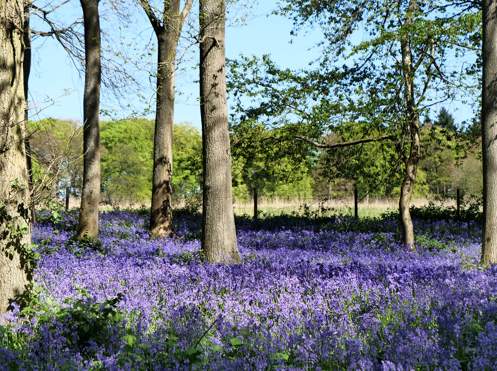 Rotherfield Greys, Oxfordshire Greys Court www.nationaltru… Flickr