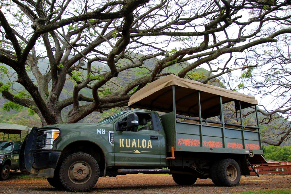 Jungle Tour Kulaloa Ranch, Oahu Dazjet n family Flickr
