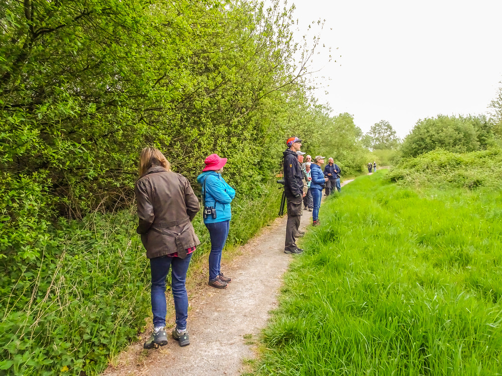 02Warbler Walk round Linford Nature Reserve 8May22 (1 of … Flickr