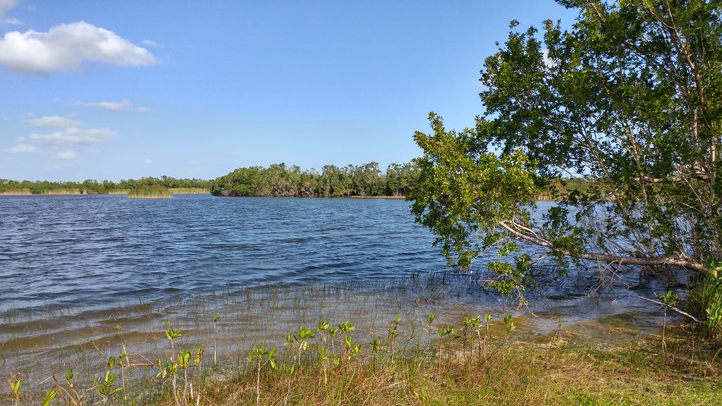 Nine Mile Pond, Everglades National Park, MiamiDade Count… Flickr