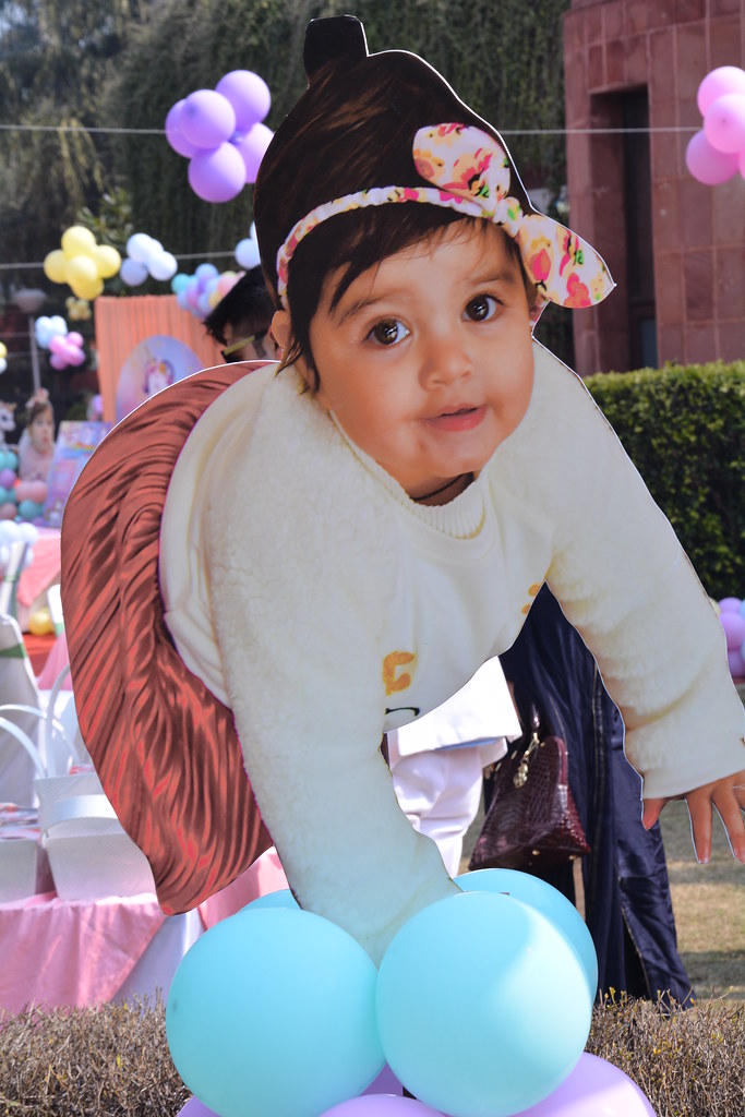 birthday planner in gurgaon 9891478880 birthday party orga… Flickr