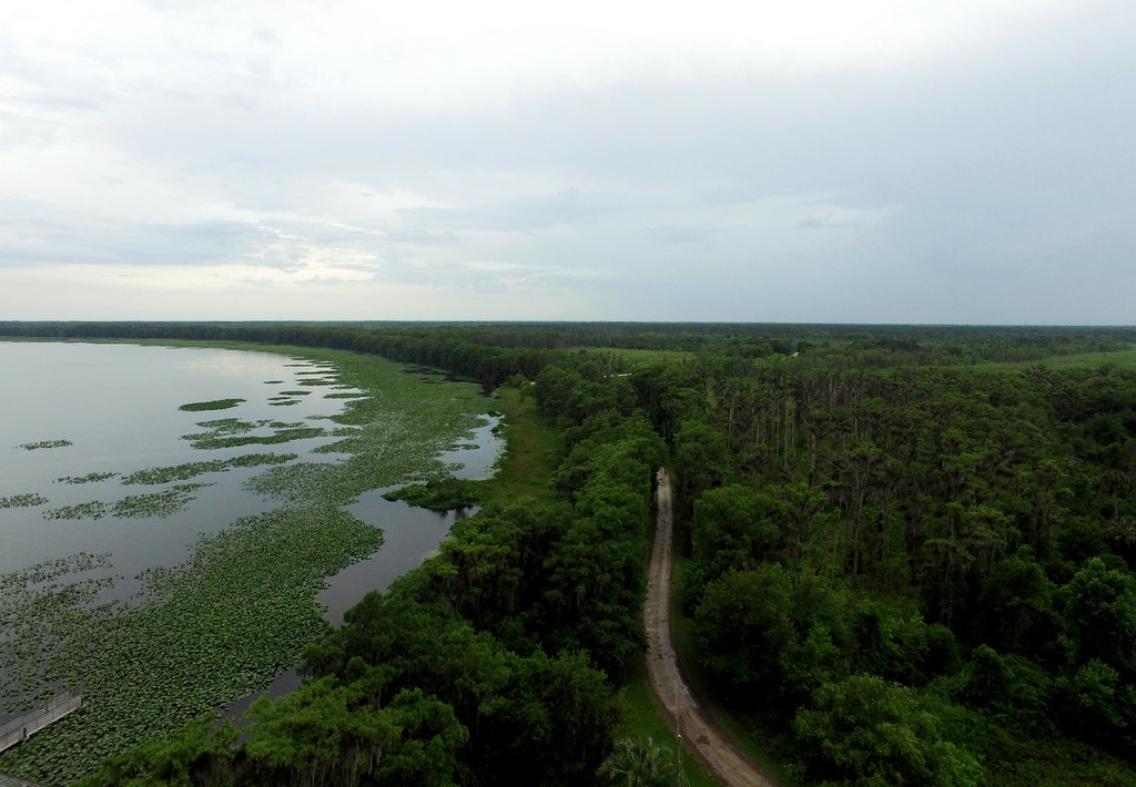 More photos of Burnt Island Park Lake Lochloosa Florida Flickr