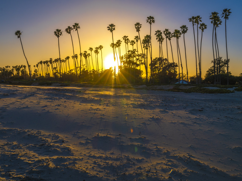 Santa Barbara Palm Trees Sunset Southern California Beach … Flickr